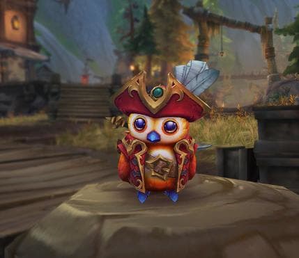 The new pet, Pirate Pepe! Isn't he adorable?